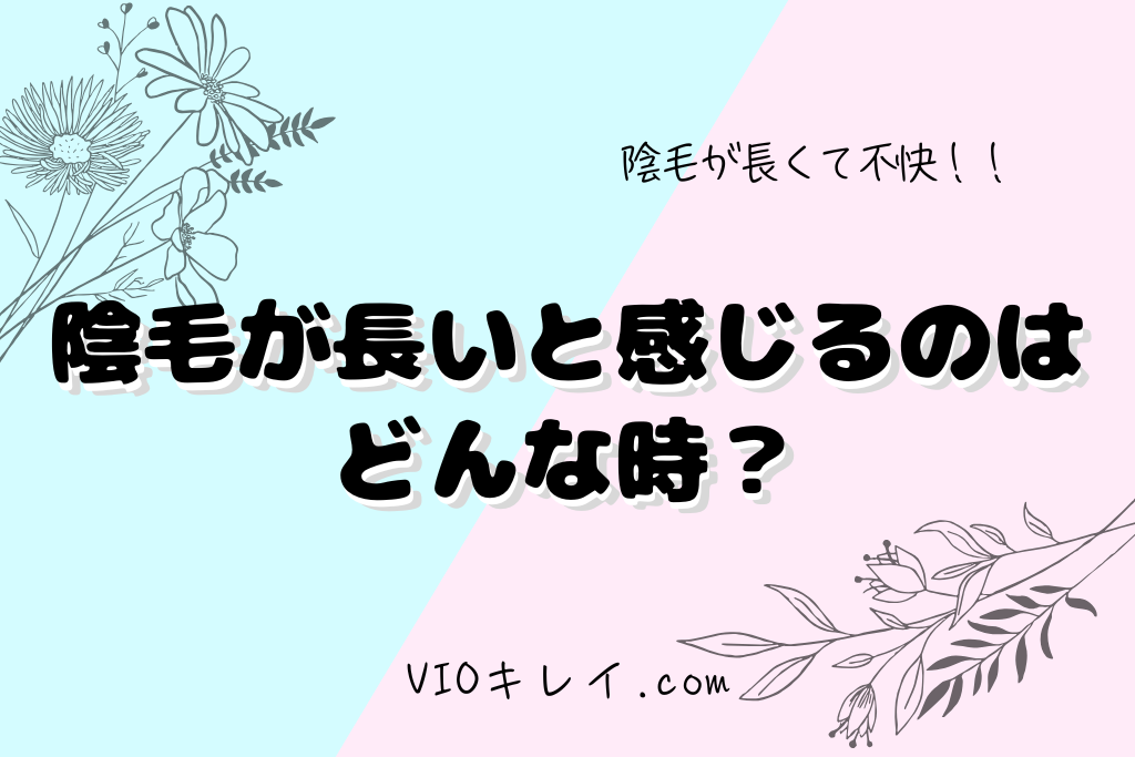 陰毛が長くて不快と感じるのはどんな時？