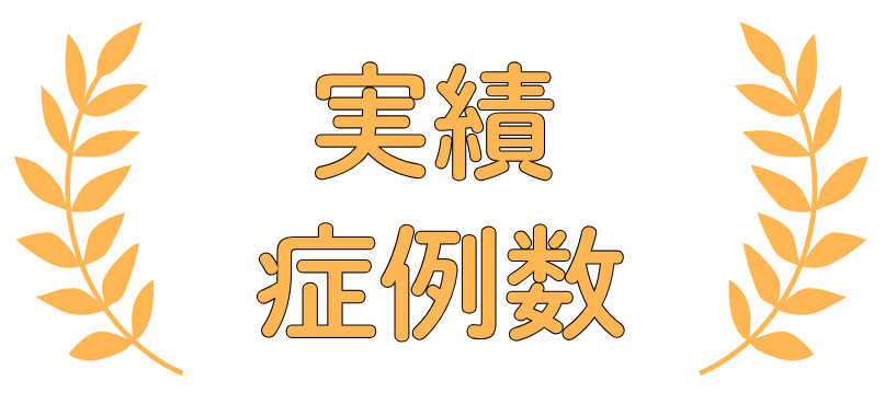 実績・症例数